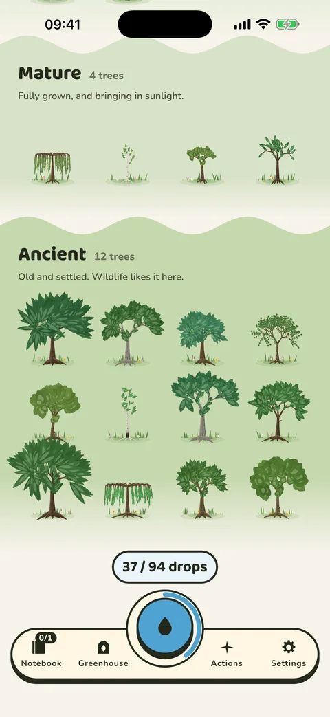 The grove, with mature and ancient trees